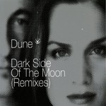 Dark Side Of The Moon (remixes)