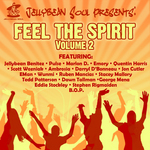 Jellybean Soul Presents: Feel The Spirit, Volume 2