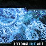 Left Coast Liquid Vol 1