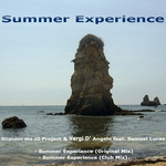 Summer Experience
