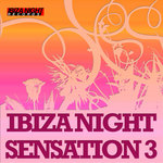 Ibiza Night Selection Vol 3