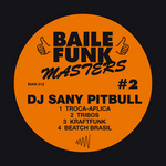 Baile Funk Masters #2