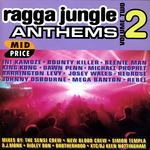 Ragga Jungle Anthems Vol 2