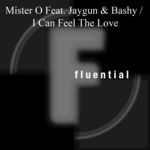 I Can Feel The Love (Remixes)