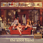 The Love Junk Store