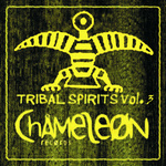 Tribal Spirits: Vol 3 (unmixed tracks)