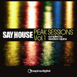 Say House: Peak Sessions Vol 1 (unmixed tracks)