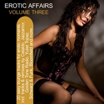 Erotic Affairs Vol 3: 20 Sexy Lounge Tracks For Erotic Moments (unmixed tracks)