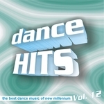 Dance Hitz Vol 12 (unmixed tracks)