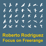Focus On: Freerange Roberto Rodriguez (unmixed Tracks)