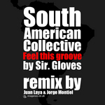 The South American Collective: Feel This Groove