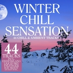 Winter Chill Sensation: 44 Chill & Ambient Tracks (unmixed tracks)