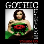 Gothic Culture: Volume 5 (20 Darkwave & Industrial Tracks) (unmixed tracks)