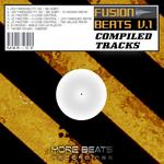 Fusion Beats:  V 1 (unmixed tracks)