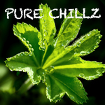 Pure Chillz: Volume One (unmixed tracks)