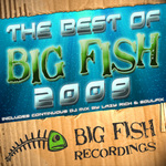 The Best Of Big Fish 2009 (unmixed tracks)