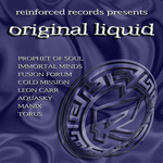 Reinforced Presents Original Liquid