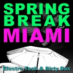 Spring Break Miami 2010