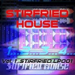 Stirfried Presents House Vol 1