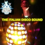 The Italian Disco Sound