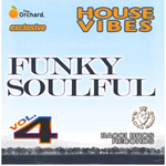House Vibes: Funky Soulful: Vol 4