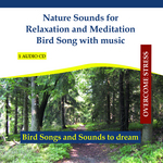 Nature Sounds For Relaxation & Meditation Bird Song With Music In The Forest (continuous mix)