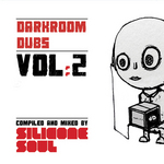 Darkroom Dubs Vol 2 (unmixed tracks)