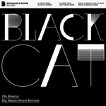 Black Cat (remixes)