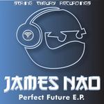 Perfect Future EP