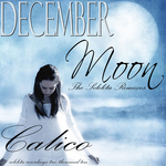 December Moon (Selekta remixes)