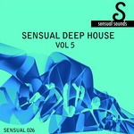 Sensual Deep House # 5