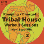 Tribal House Workout Sessions Vol 2 (unmixed tracks & continuous DJ mix)