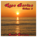 Aqua Marina 5: The Beach Grooves