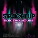 Straight Up Electro House! Vol 2