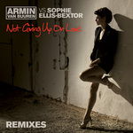 Not Giving Up On Love (remixes)