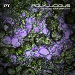 Polylucious: Polytechnic Album Sampler 010