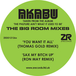 The Big Room (mixes)