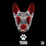 TDXS