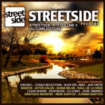 Streetside Hits Vol 3: Autumn Edition (unmixed tracks)