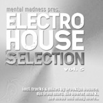 Mental Madness Presents Electro House Selection Vol 5