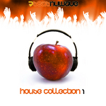 House Collection 1