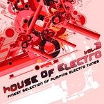 House Of Electro: Vol 3 (Finest Selection Of Pumping Electro Tunes)
