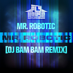 Mr Robotic (remix)