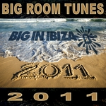Big Room Tunes 2011