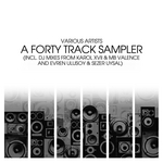 A Forty Track Sampler (Part 2) (Incl DJ mixes From Karol XVII & MB Valence & Evren Ulusoy & Sezer Uysal)