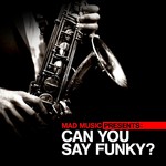 Mad Music Presents Can You Say Funky?