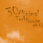 30 Minimal Tech House Vol 13