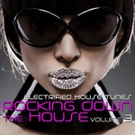 Rocking Down The House: Electrified House Tunes Vol 3