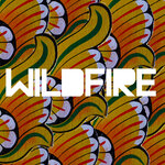 Wildfire