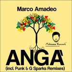 Anga EP (Incl Punk & G'Sparks remixes)